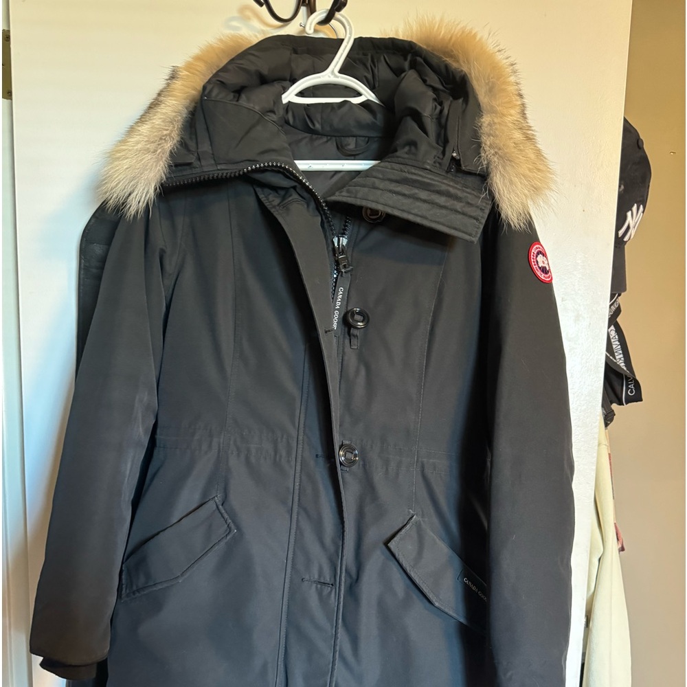 Canada goose rossclair